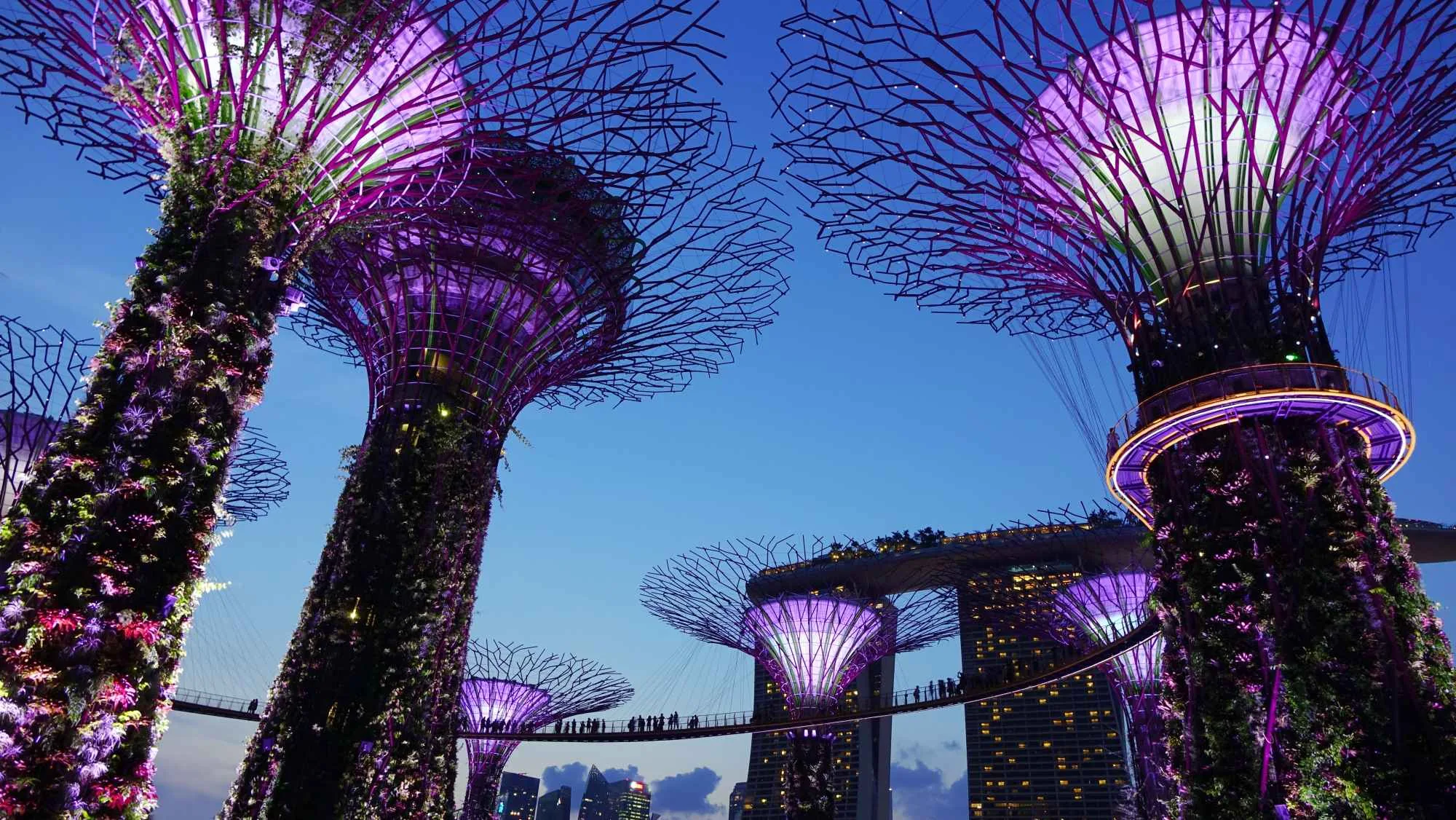 Singapore – Garden By the Bay